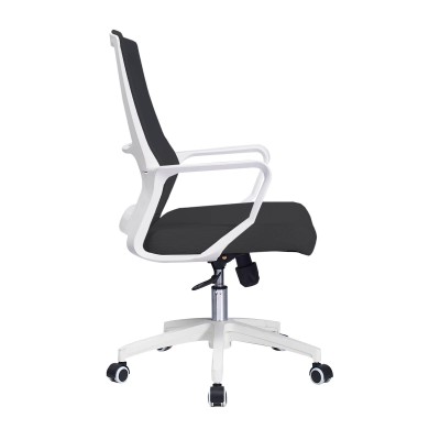 Mesh Ergo Lowback Office Chair in Fiber Mesh